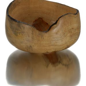 Box Elder Bowl