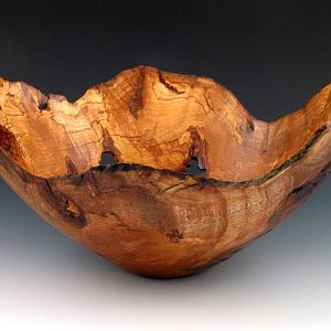Spalted Maple Burl Bowl - 481