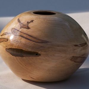 Ambrosia maple hollow vessel