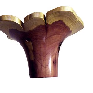Blooming Cedar(lower side)