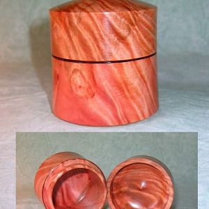 Tasmanian Myrtle Burl Box