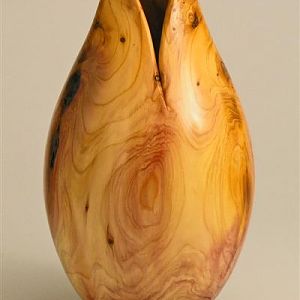 Yew vessel- design opportunity!