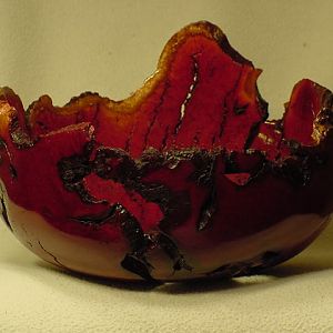 Natural edge Manzanita Burl pic 1