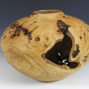 Mystery maple burl