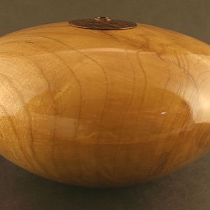 Ash with Desert Ironwood collar (large)