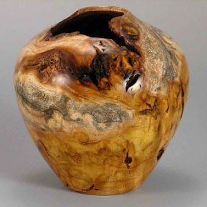 Mulberry_Burl