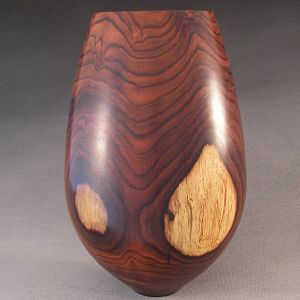 Cocobolo Hollow Vessel