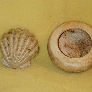 Seashell Box