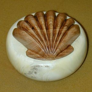 Seashell Box