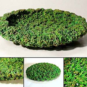 Coral Platter