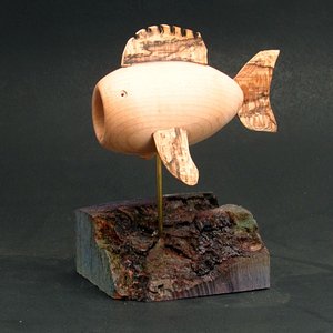 Lost Wood Fish