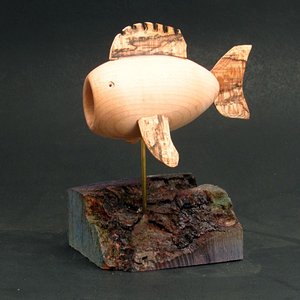 Lost Wood Fish