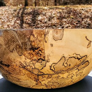 Spalted Silver Leaf Maple