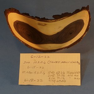 serial 22056 View with drying record