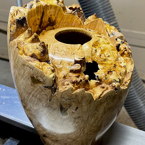 Big leaf maple burl hollow form