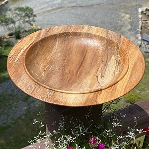 Spalted Sycamore Shallow Bowl