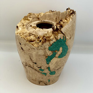 Big leaf maple burl emerging hollow form