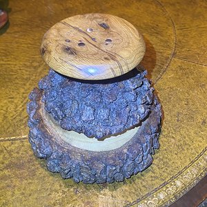 Burl Oak