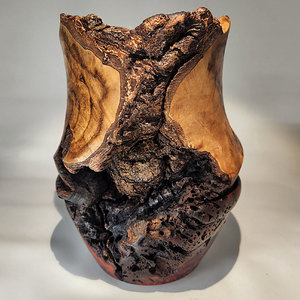 Burl in a Bowl