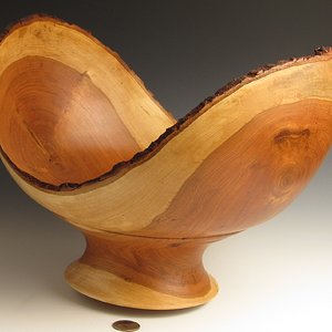 Bowl from a Log
