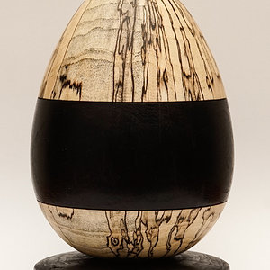 Spalted Sugarberry egg with ebonized band and ebonized Sugarberry base.