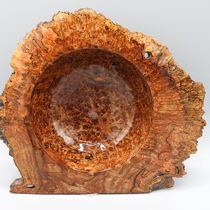 Chechen Burl Winged Bowl