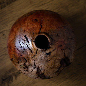 Manzanita burl