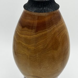 Mesquite Hollow Form