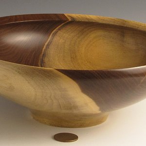 Walnut with Sapwood Flat Rim Bowl