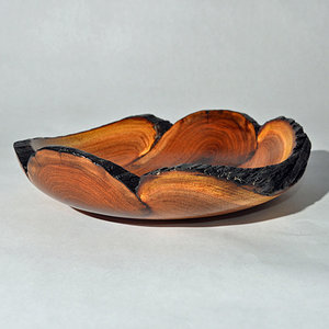 Three trunk natural edge bowl