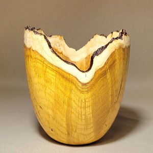 Mulberry Burl Bowl