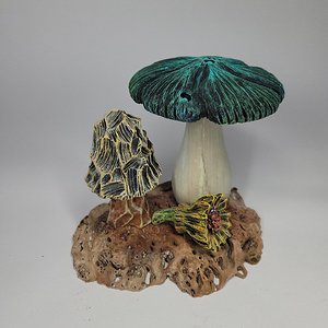 TBD mushrooms