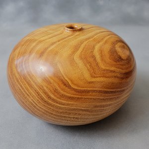 Honey Locust Hollow Form