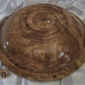 2117 Swirly Maple Burl