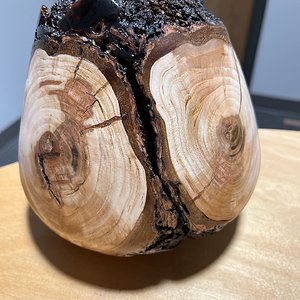 Cherry Crotch with some burl