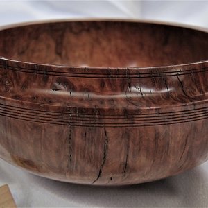 2153 Australian Red Mallee Burl.