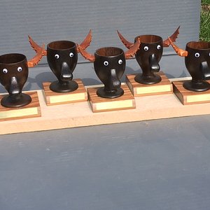 Moose Trophies