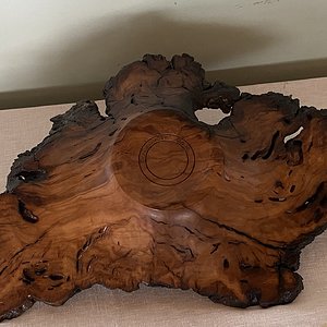 White Oak Burl