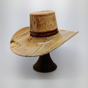 Spalted Range Rider