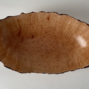 Elliptical Arbutus Burl