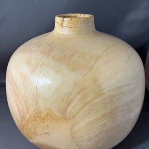 Spruce Seed Pot