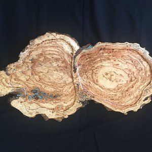 Honey locust burl charcuterie board w/turquoise inlay