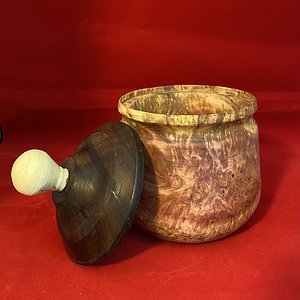 Little burl box