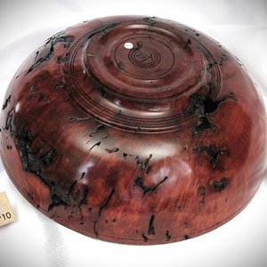 #2102 Australian Red River Gum Burl