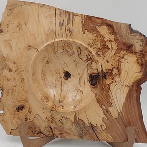 Spalted Elm Burl Winged Bowl 16" x 14"