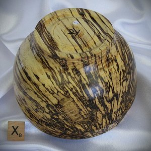 #2240 spalted Hackberry