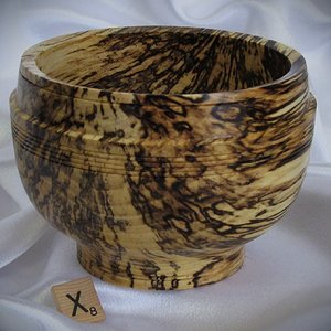 #2240 spalted Hackberry