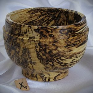 #2240 spalted Hackberry