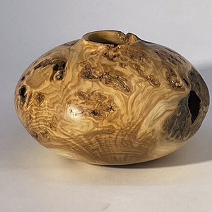 Aspen Burl Hollow Form