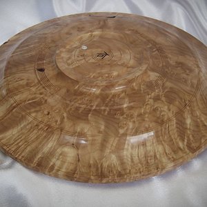 #2085 Maple burl